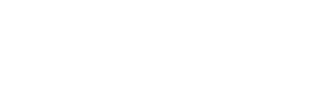 ZEUS4D Logo